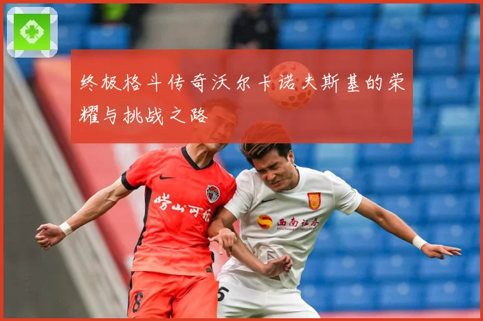 终极格斗传奇沃尔卡诺夫斯基的荣耀与挑战之路